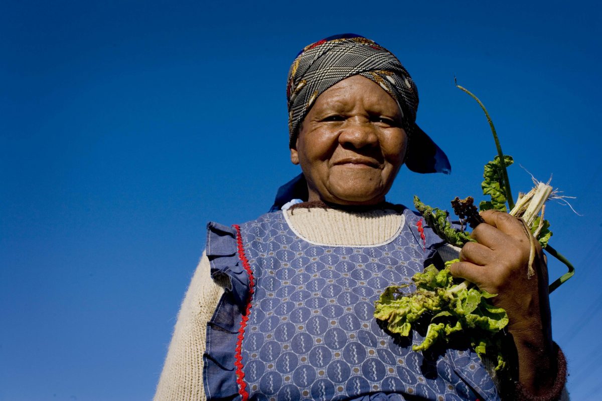Africa's Agriculture Needs A Coherent Fix - SAIIA