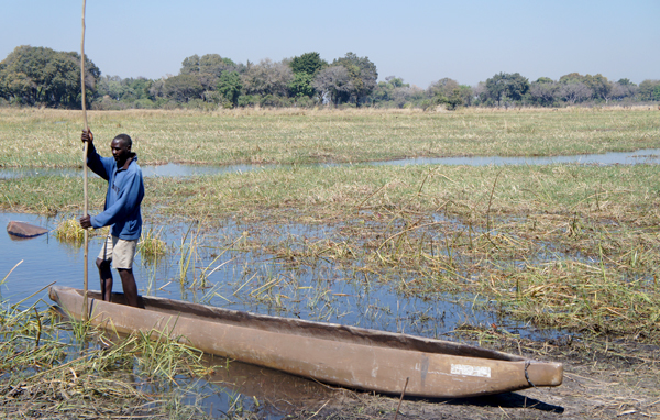 img Okavango1