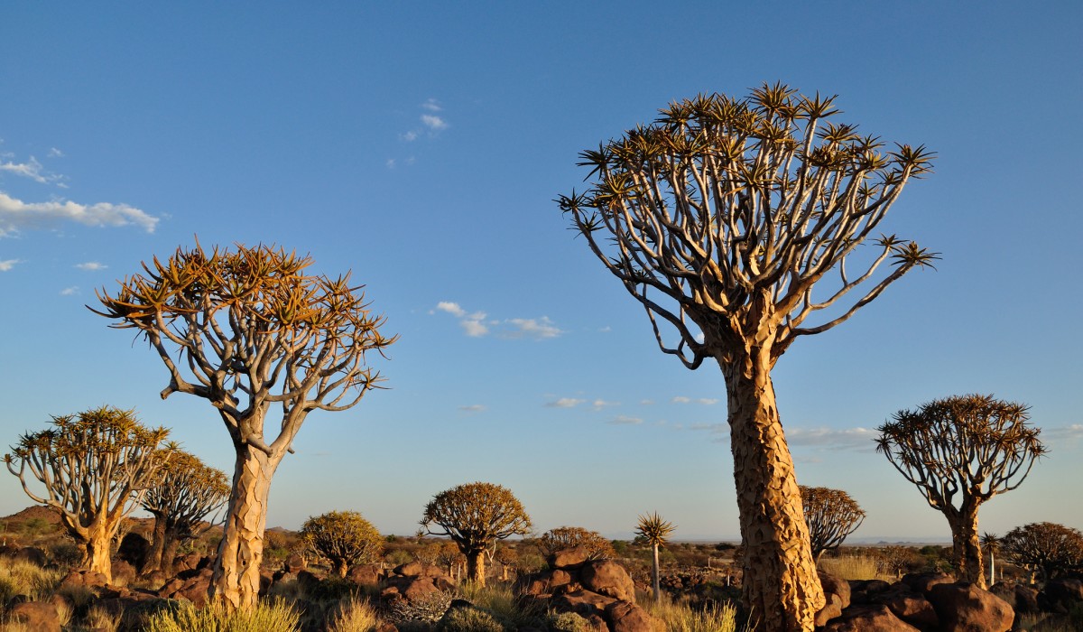 The State Of Community-Based Natural Resource Management in Southern ...