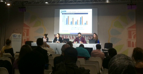 COP22negotiations photo 5