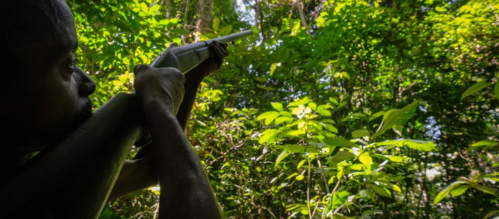 Photo: flickr, Axel Fassio/CIFOR
