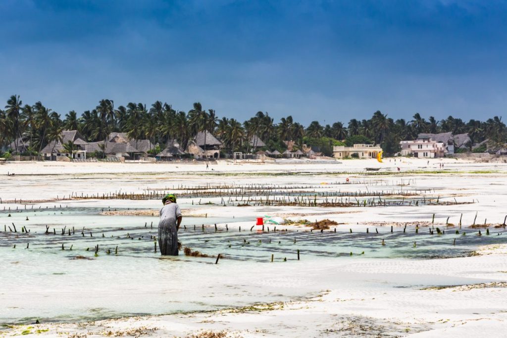 Strengthening Marine and Coastal EbA in Southern Africa