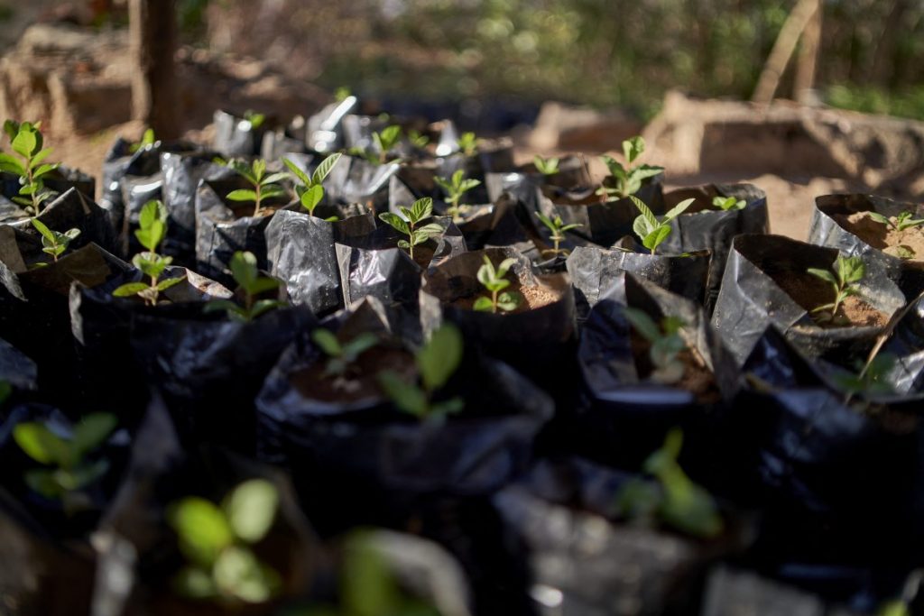 Taking Gender Mainstreaming Seriously in Climate Finance