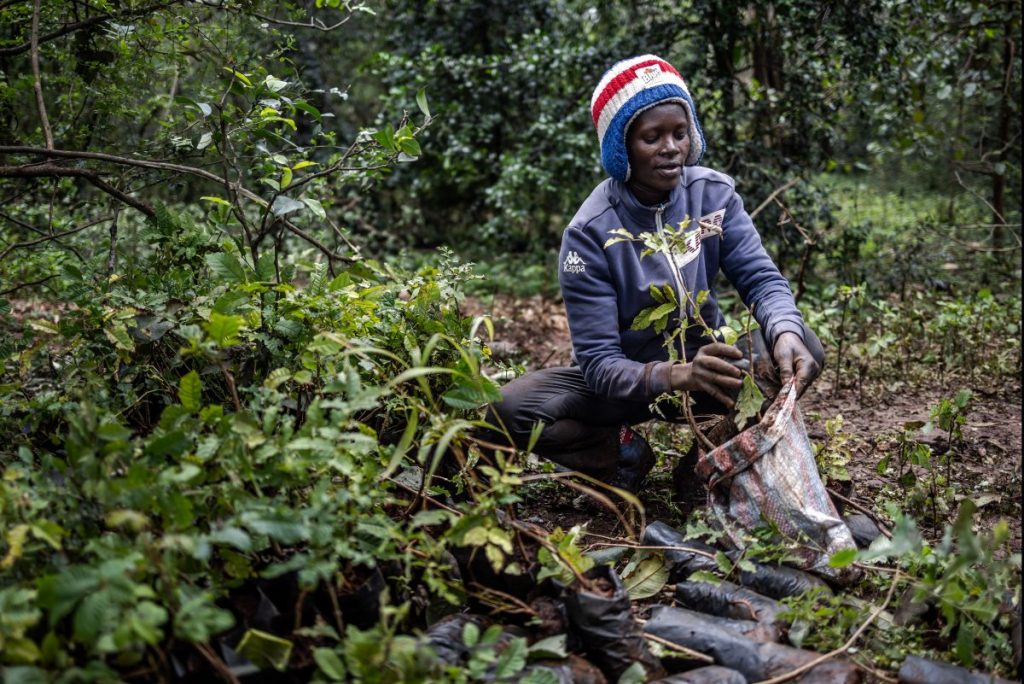 Africa’s Wish List for an Ambitious and Equitable COP28