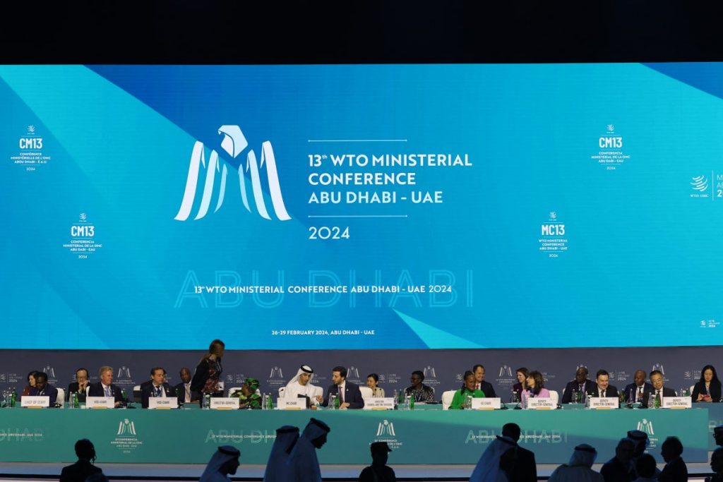The 13th WTO Ministerial Conference and the future of the world trading system