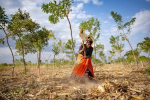 Strengthening Africa’s climate-smart agriculture and food systems through enhanced policy coherence and coordinated action