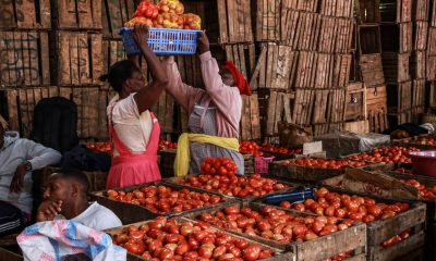 Image: Getty, James Wakibia