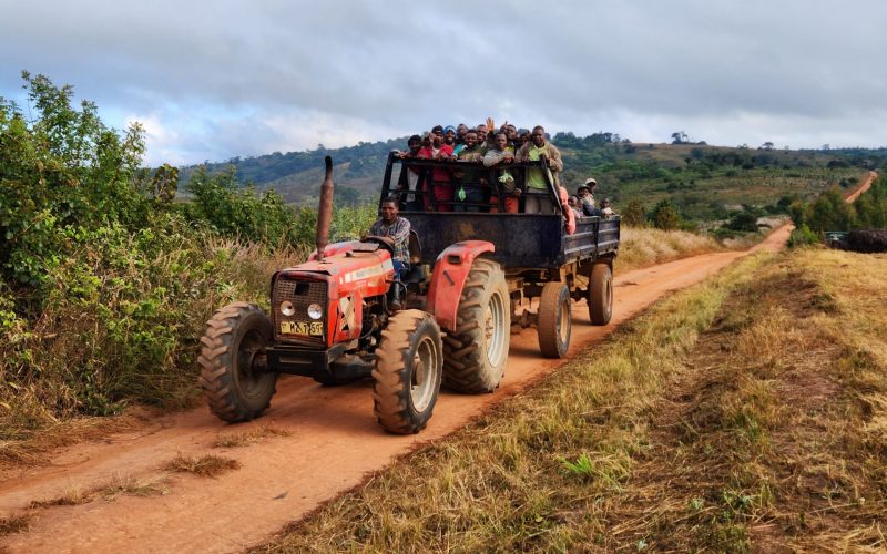 Image: Romy Chevallier/Malawi