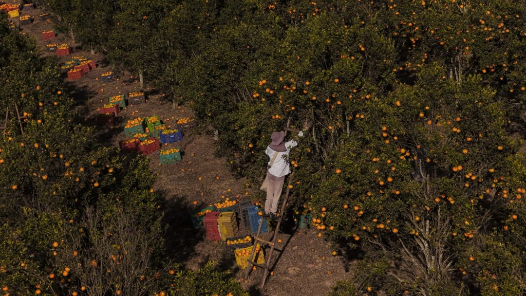 Image: Getty, Pedro Vilela