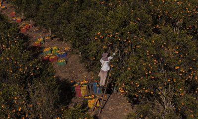 Image: Getty, Pedro Vilela