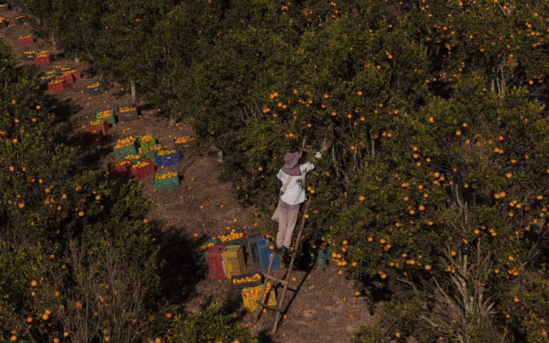 Image: Getty, Pedro Vilela