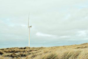 Image: Unsplash, Maik Winnecke