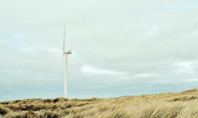 Image: Unsplash, Maik Winnecke