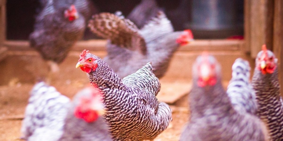 Photo © David Goehring/ flickr Photo © David Goehring/ flickr