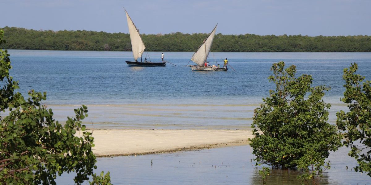 Fishers and mangrove swamps, Mozambique. Image: Romy Chevallier