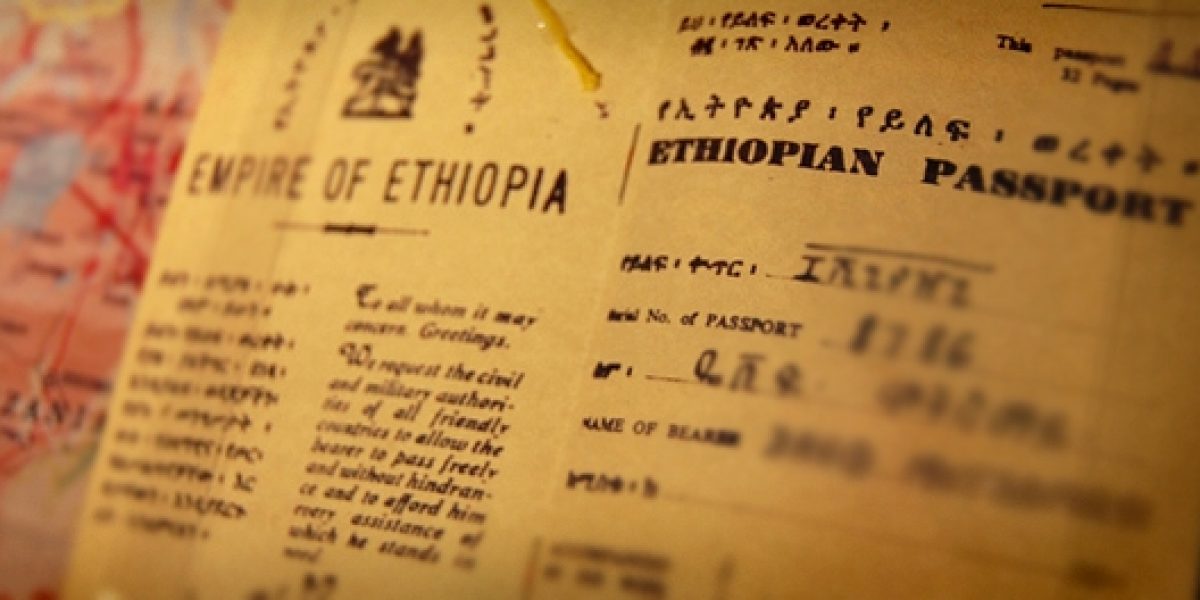 Photo © Matt Stabile