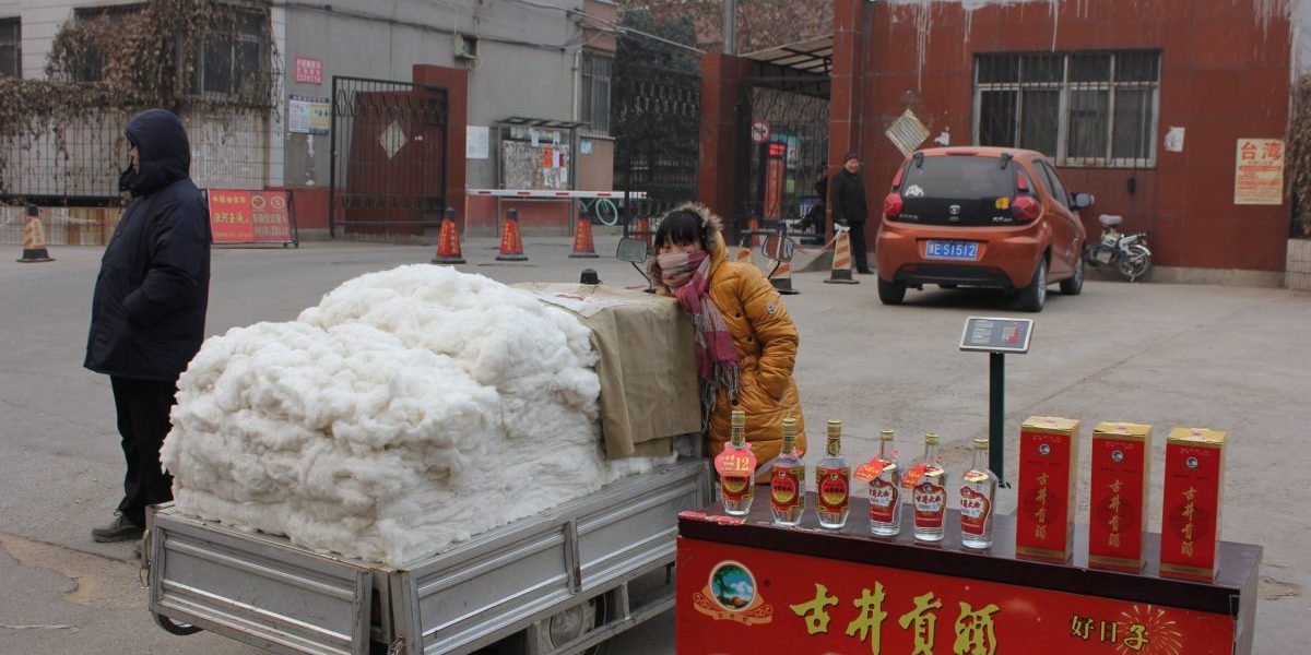 Image: Flickr, V.T. Polywoda