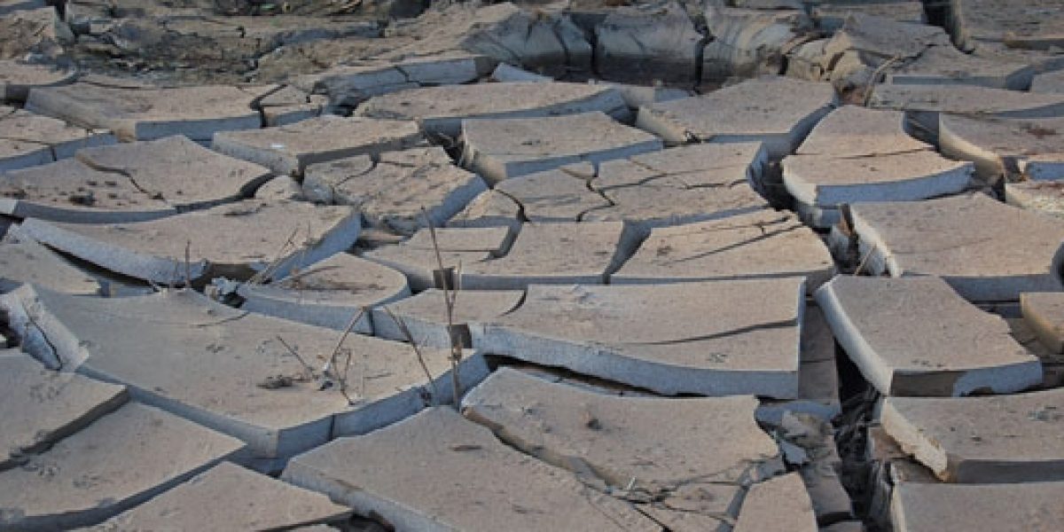 Photo © Shever Photo © Shever