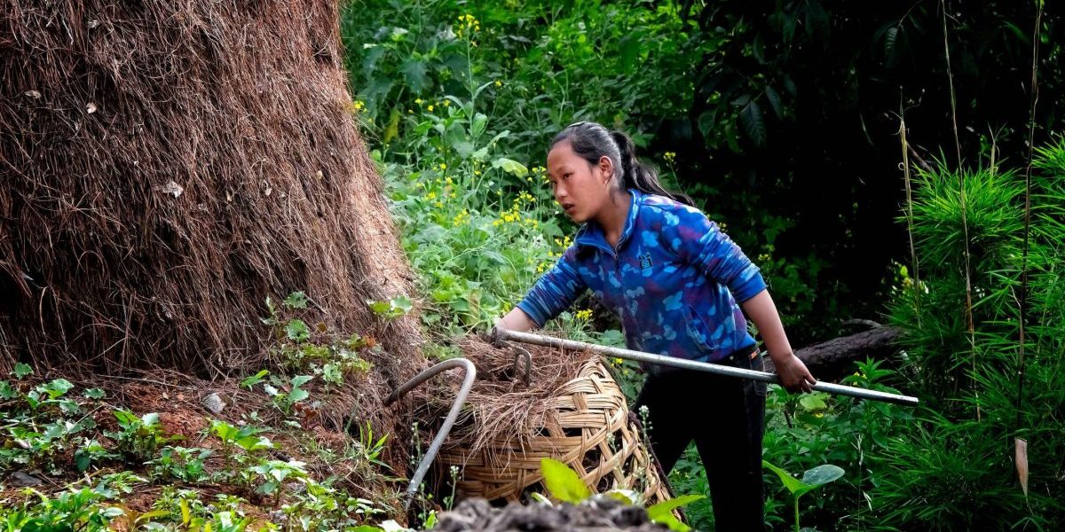 Image: Flickr, Rod Waddington