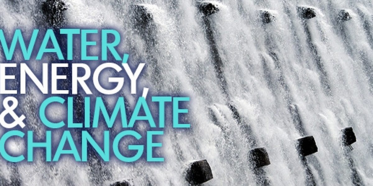 Photo © David Reece / Flickr