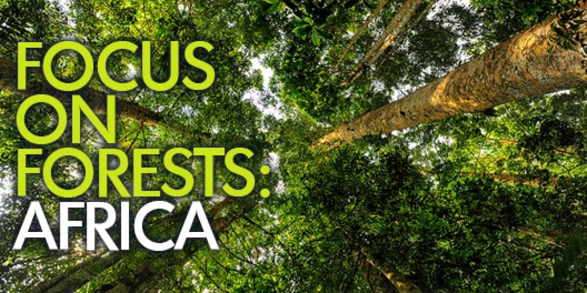 Photo © Ricky Martin / Center for International Forestry Research (CIFOR)
