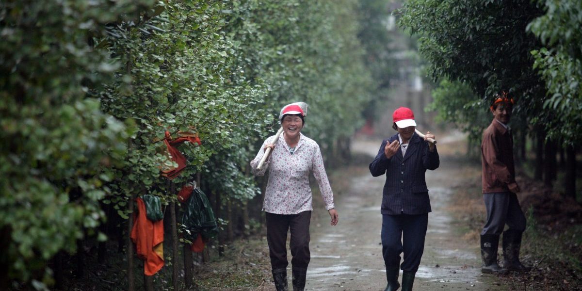 Image: Flickr,  Wu Zhiyi