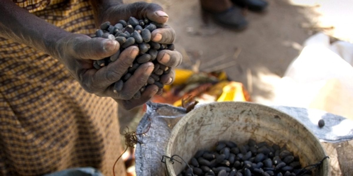 Photo © Jeff Walker/CIFOR