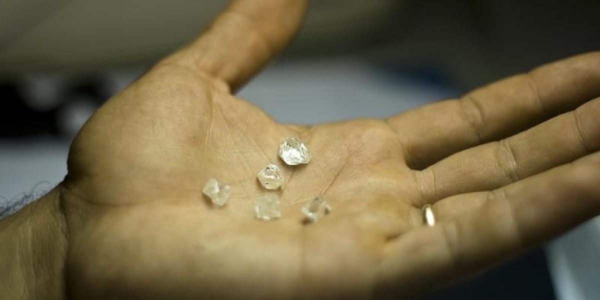 Photo (c) Naaman Saar Stavy Photo (c) Naaman Saar Stavy