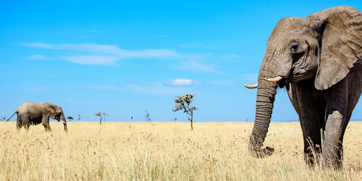 Photo © MudflapDC/Flickr Photo © MudflapDC/Flickr