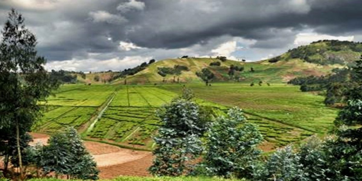 Photo © Anton Crone