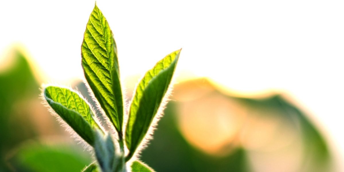 Photo: flickr, Theo Crazzolara Photo: flickr, Theo Crazzolara