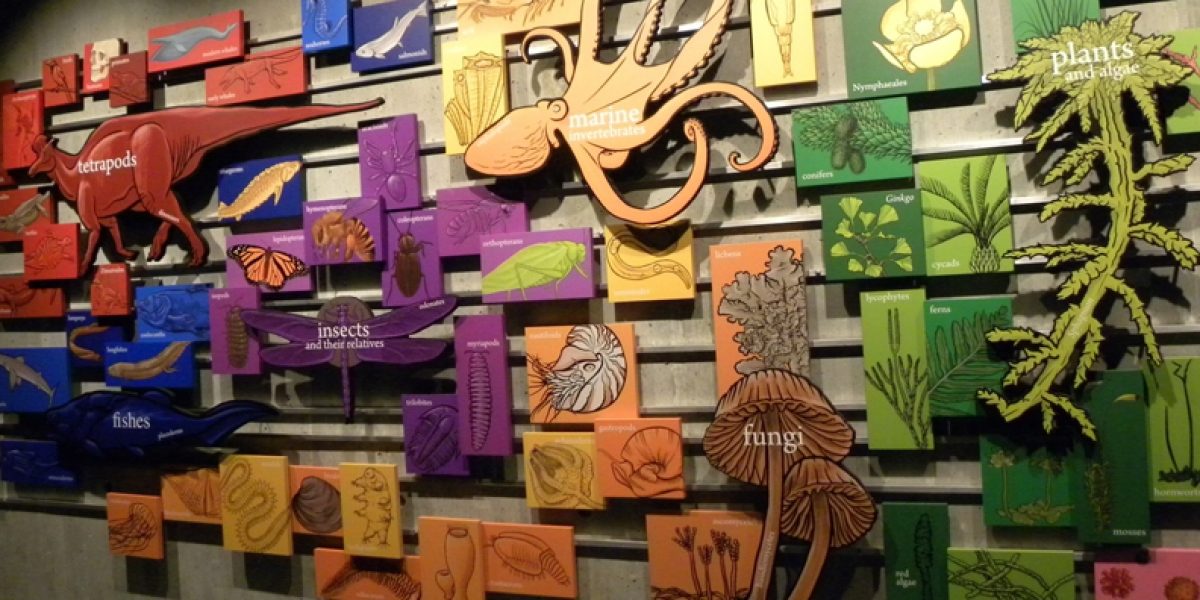 Photo © Alyx Dellamonica/ Flickr Photo © Alyx Dellamonica/ Flickr