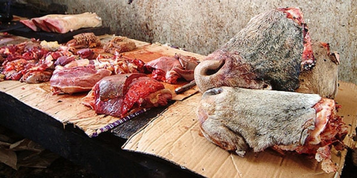 Photo © Jose Pereira/ flickr Photo © Jose Pereira/ flickr