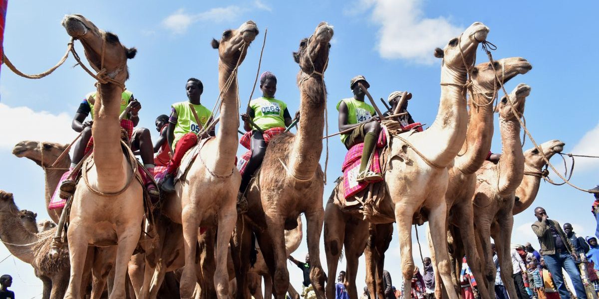 The event held annually, which aims at promoting sports and cultural tourism, is Kenya's best known and prestigious camel race attracting both international and local competitors in amateur and professional categories who breathing life into the remote desert town populated by Kenya's indigenous and pastoral communities including Samburu, Turkana and Pokot tribes. Image: Getty, Andrew Kasuku