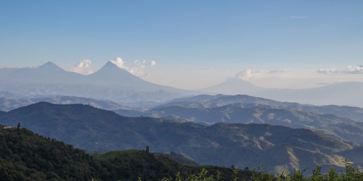 Image: Getty, Pedro Ferreira do Amaral