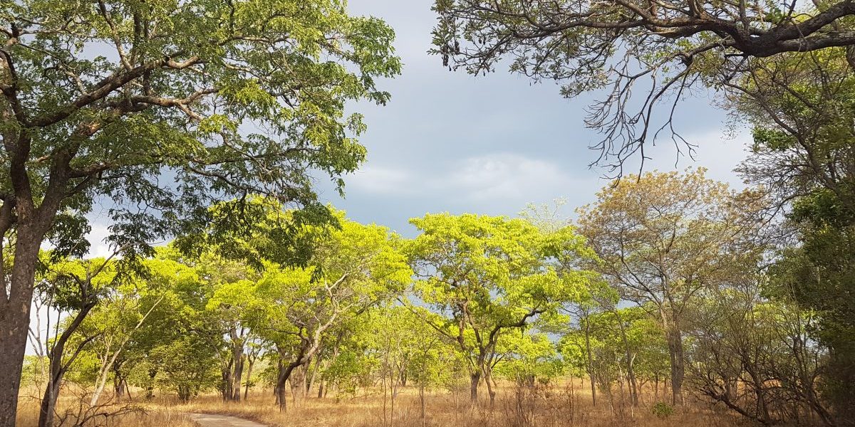 Image: Getty, Joanne Hedger