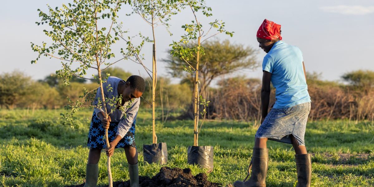 Image: Getty Images, Martin Harvey