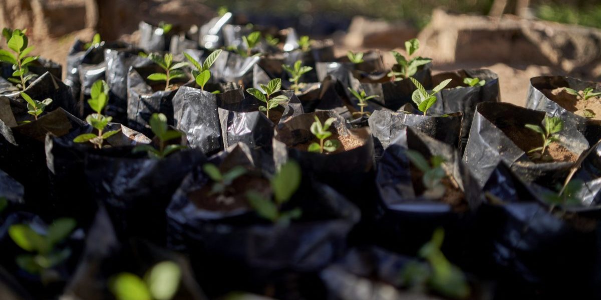 Taking Gender Mainstreaming Seriously in Climate Finance