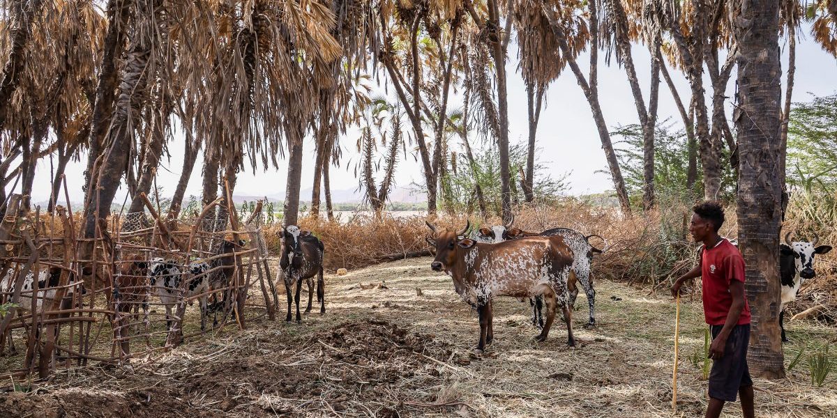 Image: J Countess/Getty Images