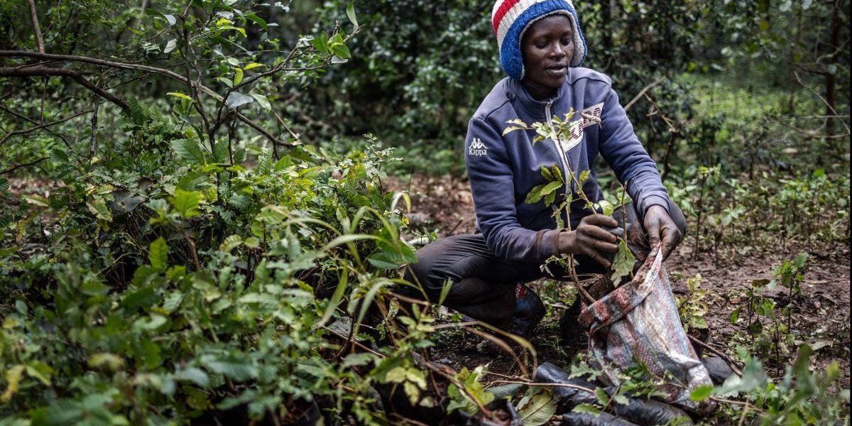 Africa’s Wish List for an Ambitious and Equitable COP28