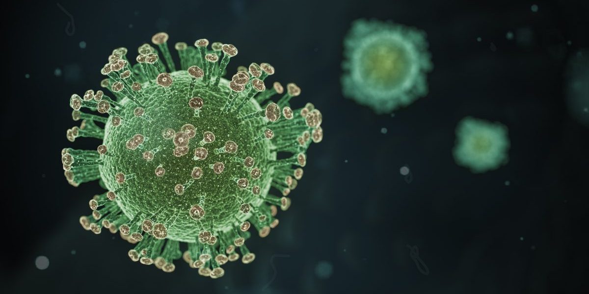 Image: Flickr, Yuri Samoilov