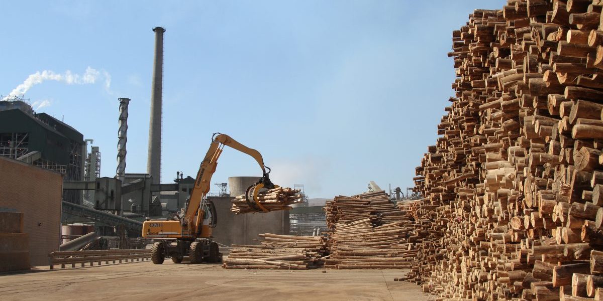 A claw crane moves timber logs from a store pile at the Ngodwana wood mill, operated by Sappi Ltd., the world's biggest producer of dissolving wood pulp, in Mpumalanga, South Africa. Image: Getty, Dean Hutton/Bloomberg