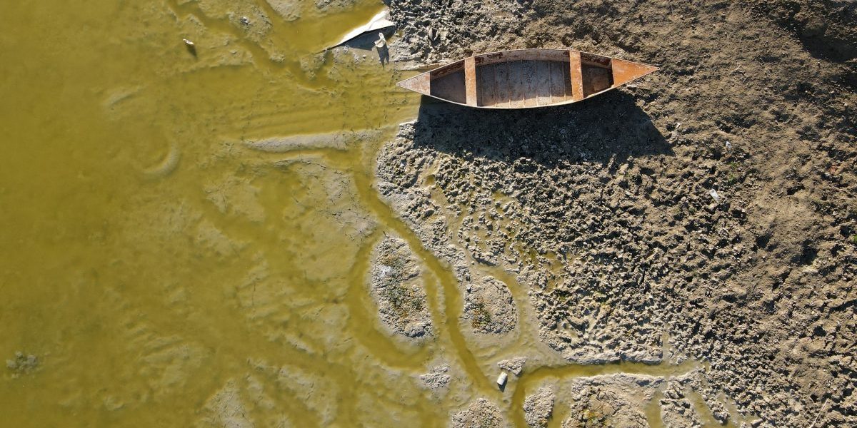 Image: Getty, Abdulaziz Ketaz/AFP