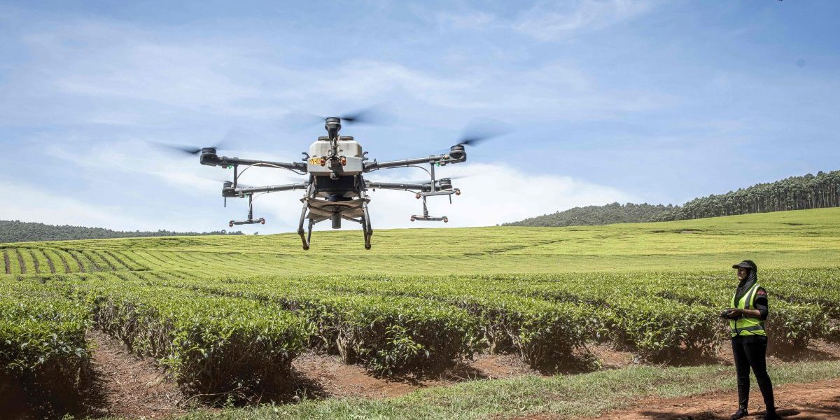 Digitisation of African Agriculture Through BRICS Partnerships