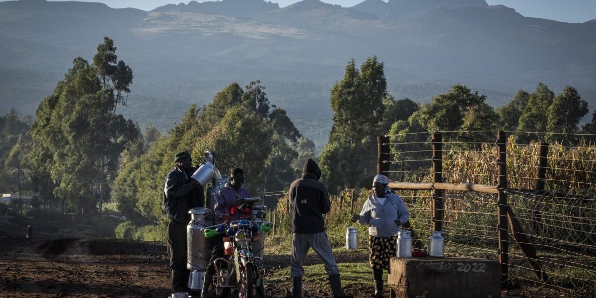 Implementing the AfCFTA Agreement: Implications for Biodiversity, Agriculture and Trade Negotiations
