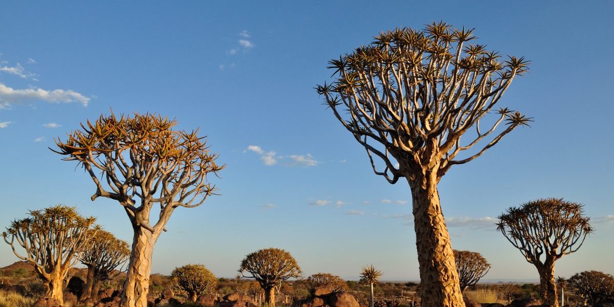 EricBauer_Flickr_16015901826_80219a114f_k Image: Flickr, Eric Bauer