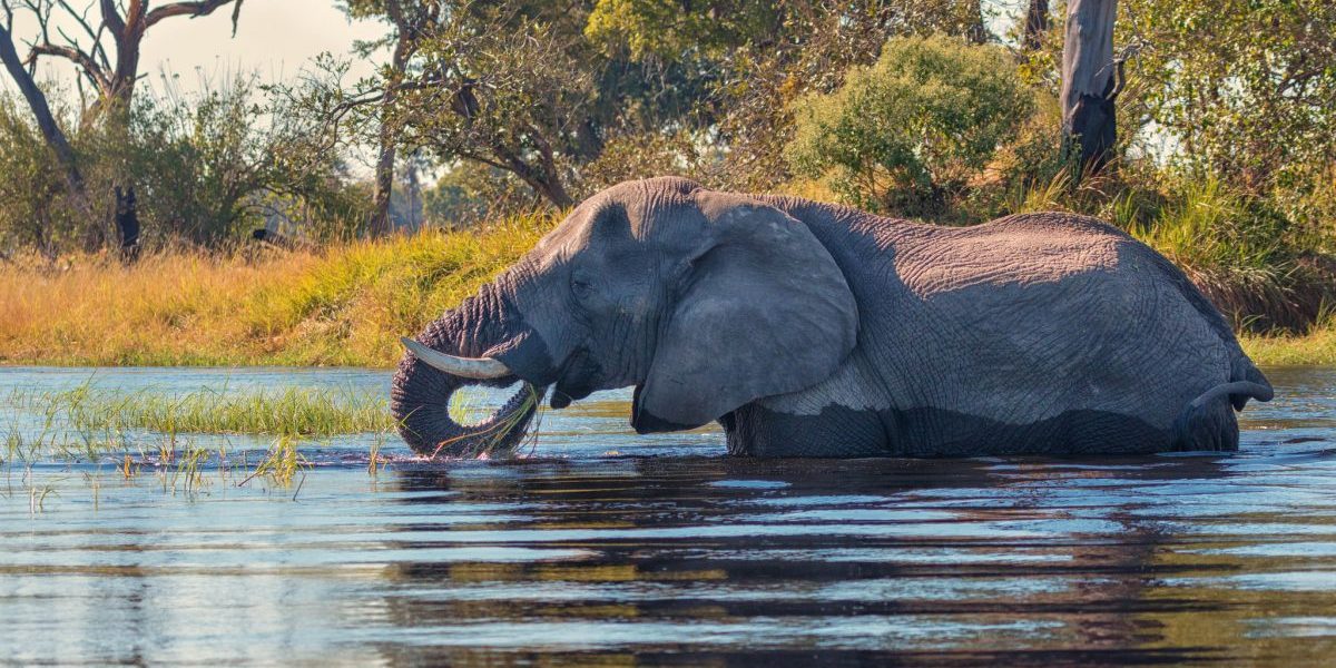 Image: Flickr, Michael Levine-Clark