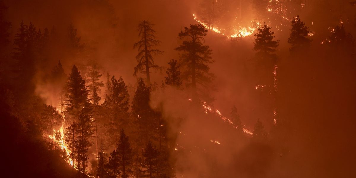 Image: Getty, David McNew