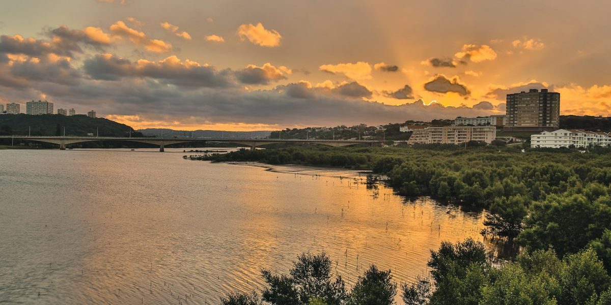 The Umgeni River, Durban, Kwazulu-Natal, South Africa. Image: Getty, Wildacad