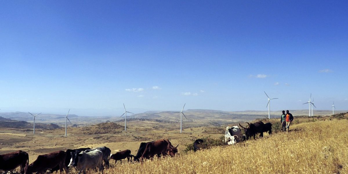 Ethiopia, Northern Tigray region, 2013: Ashegoda wind farm built by France’s Vergent Group for 230 million euro ($313 million), is the largest in sub-Saharan Africa with a capacity of 120 megawatts. Image: Getty, Jenny Vaughan/AFP